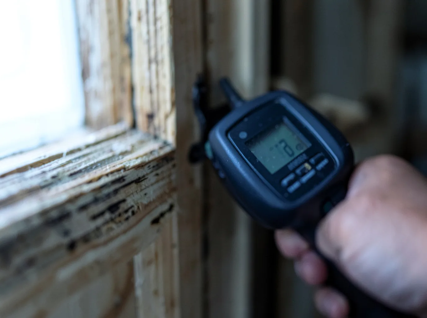 Moisture Inspection And Documentation in Saugatuck, MI
